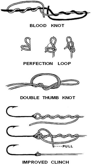 Fishing Knots - Basic Leader Knots For Tying Fishing Lines